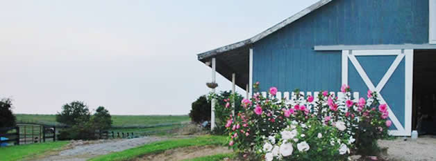 Wind Ridge Farm Barn