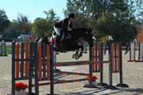 Jeri on Oliver jumping obstacle at Octoberfest